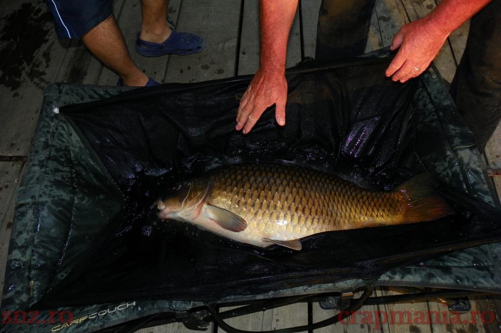 Trofeul tancabesti 2013 - 1012360.jpg